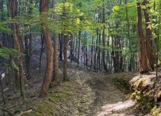Secluded Recreational Property for Sale in Fort Blackmore VA