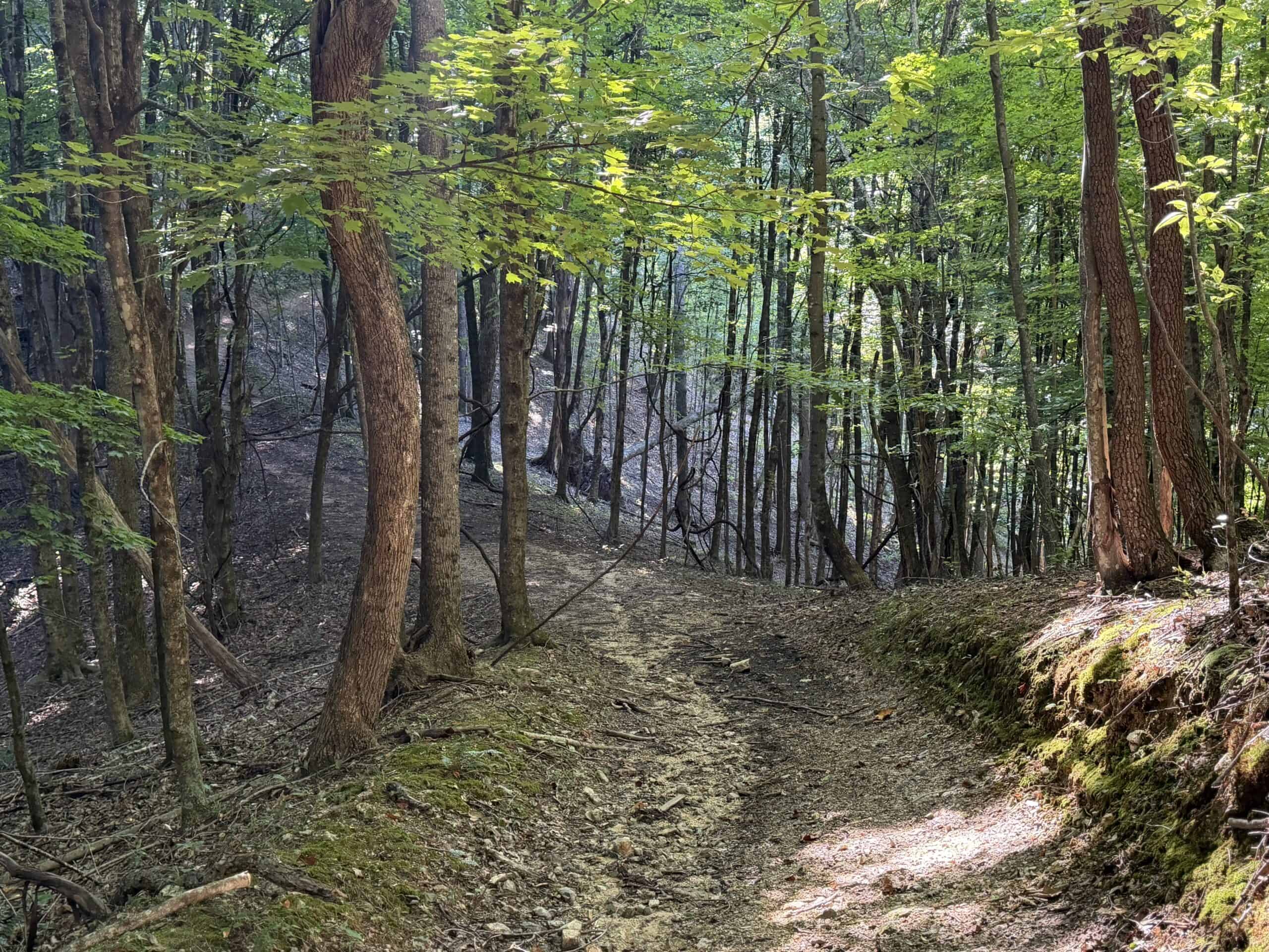 Secluded Recreational Property for Sale in Fort Blackmore VA