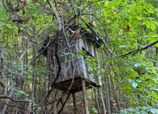 Secluded Recreational Property for Sale in Fort Blackmore VA