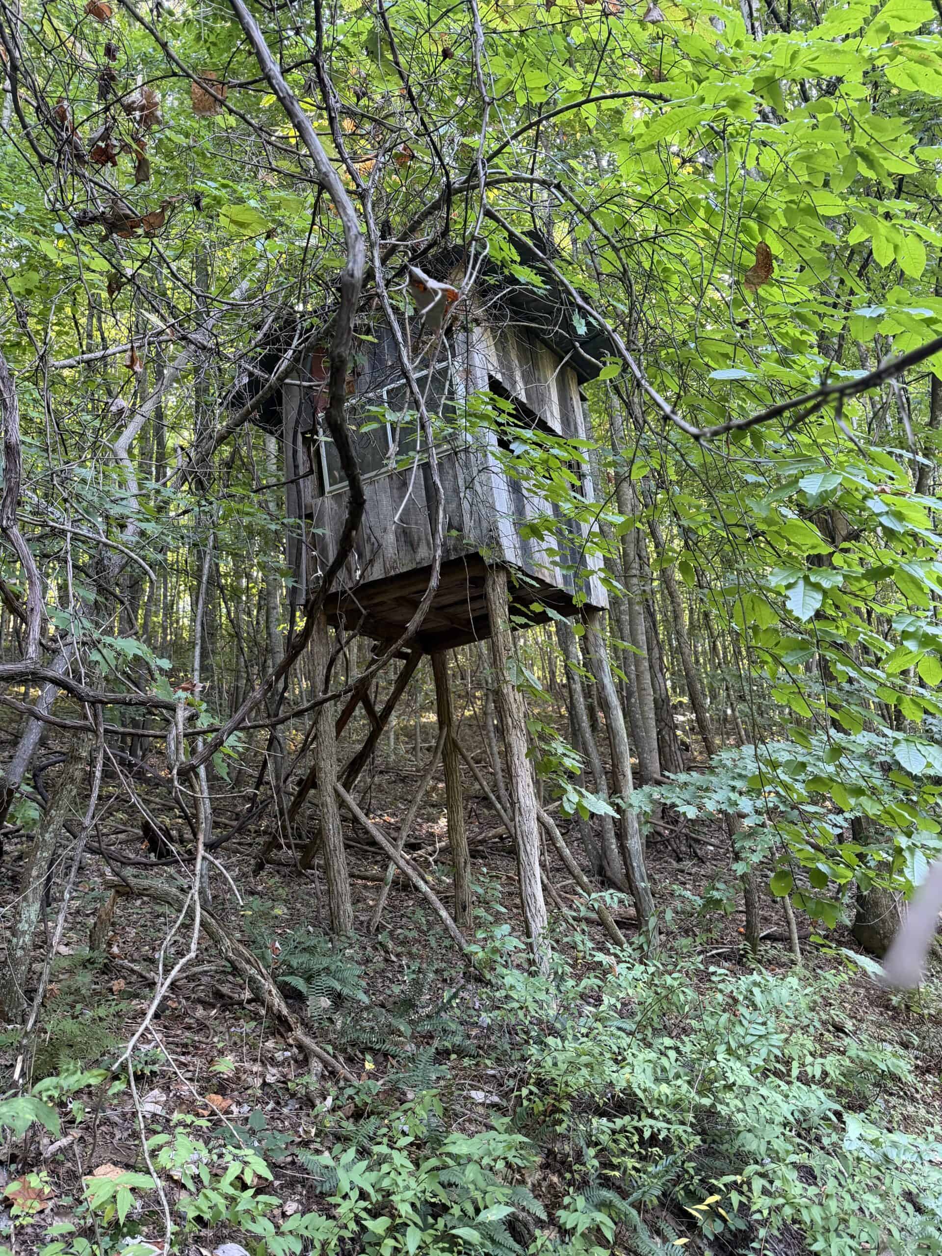 Secluded Recreational Property for Sale in Fort Blackmore VA