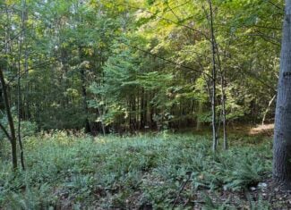 Secluded Recreational Property for Sale in Fort Blackmore VA