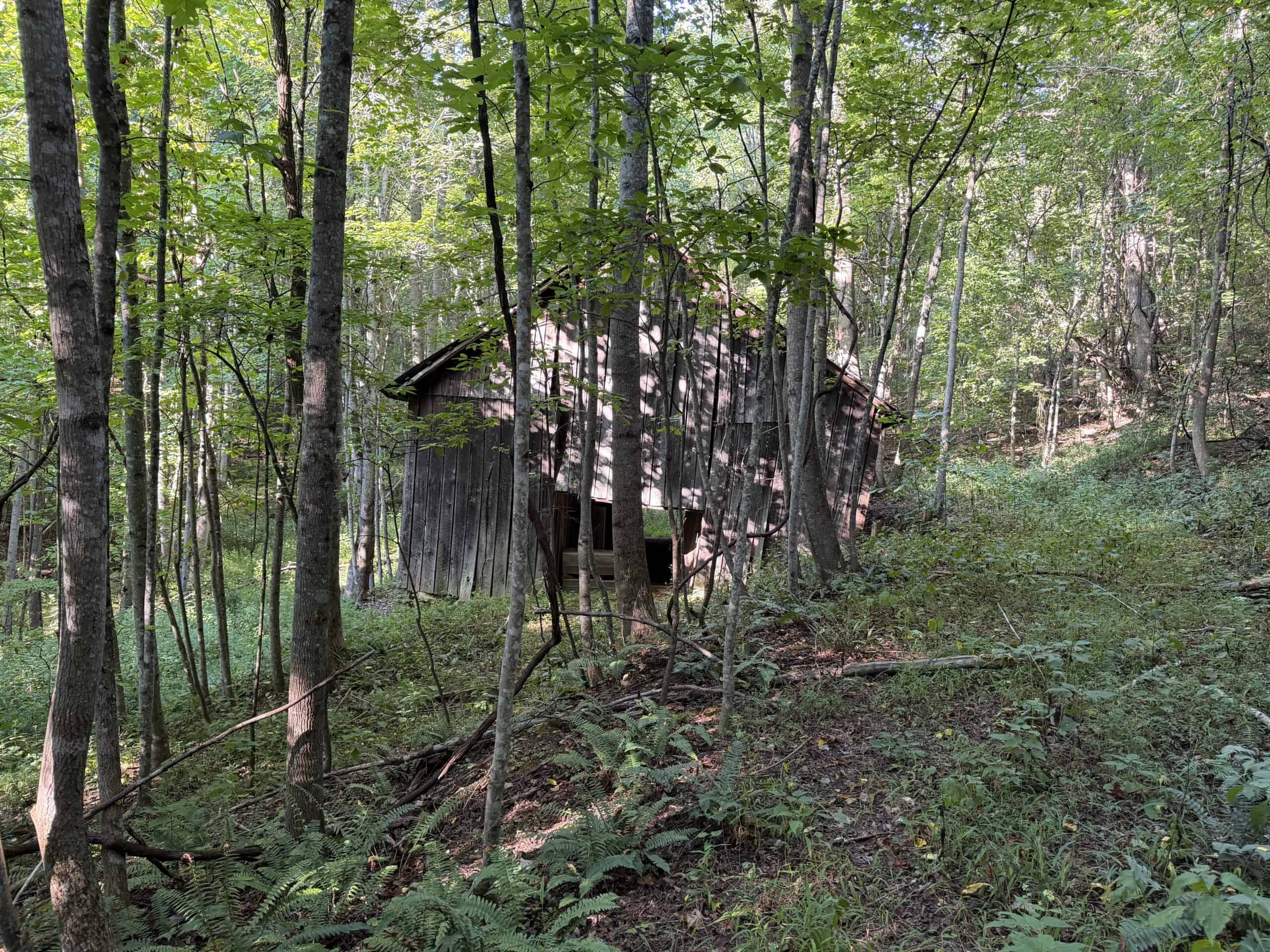 Secluded Recreational Property for Sale in Fort Blackmore VA