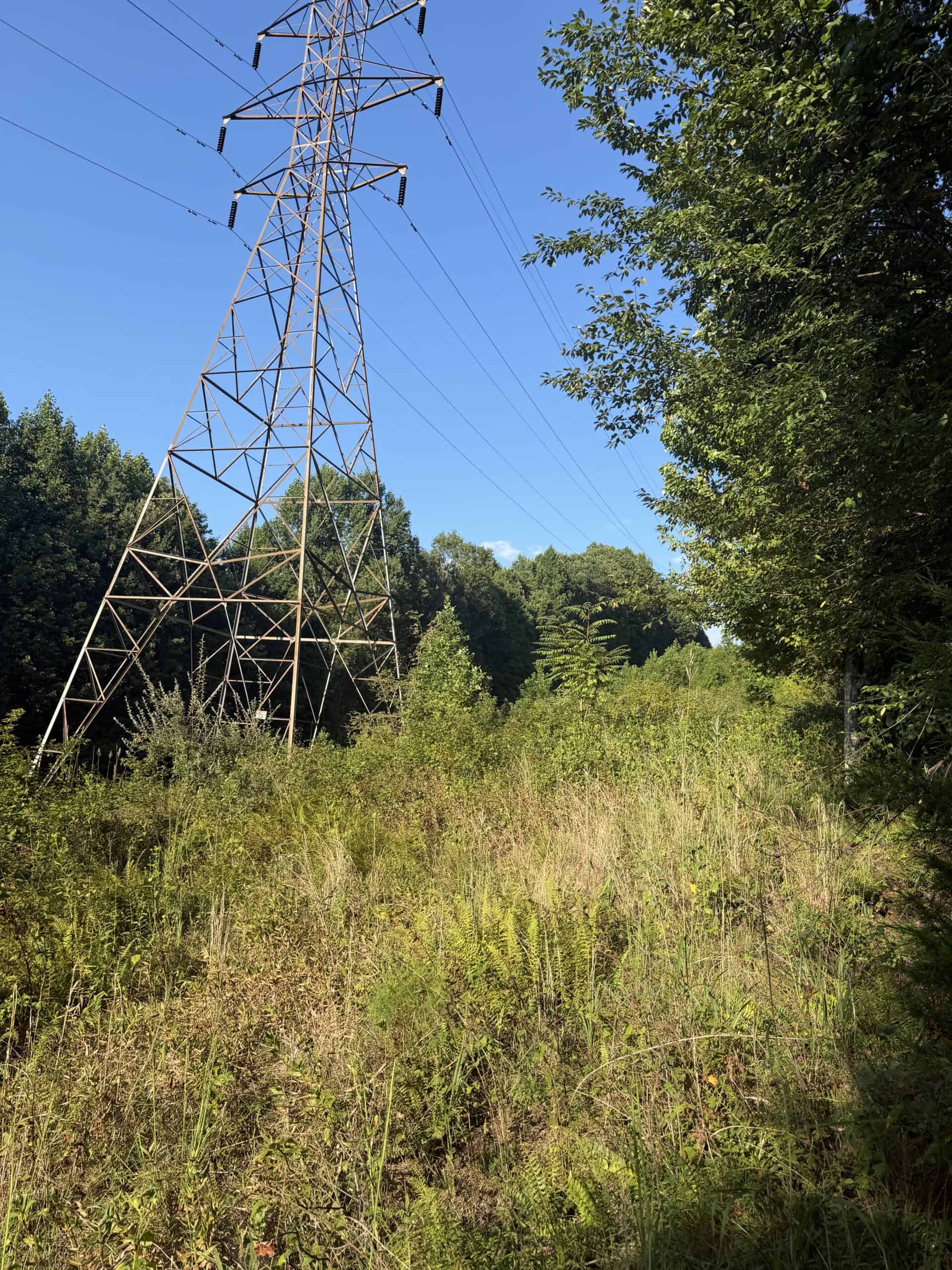 Secluded Recreational Property for Sale in Fort Blackmore VA