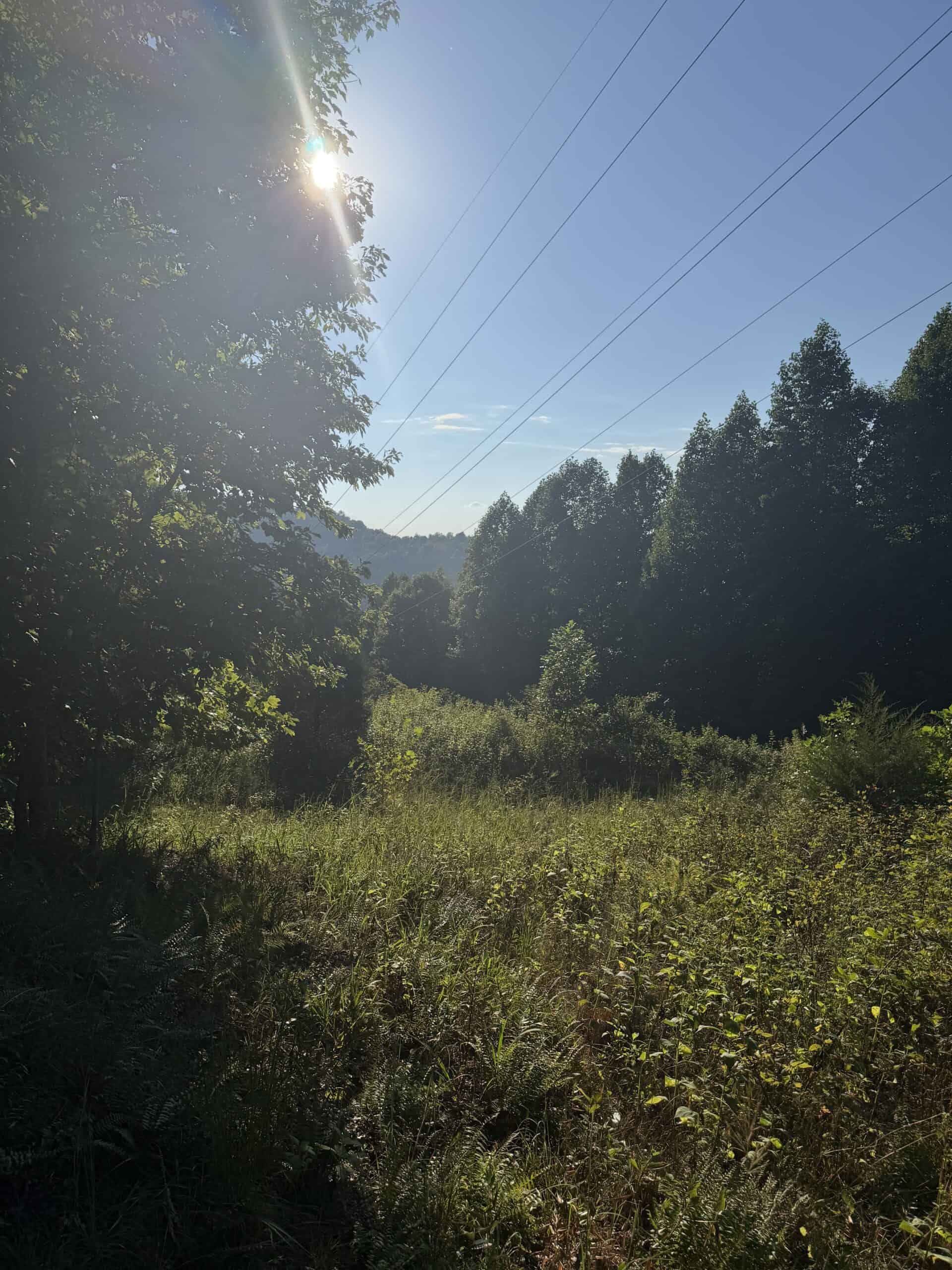 Secluded Recreational Property for Sale in Fort Blackmore VA