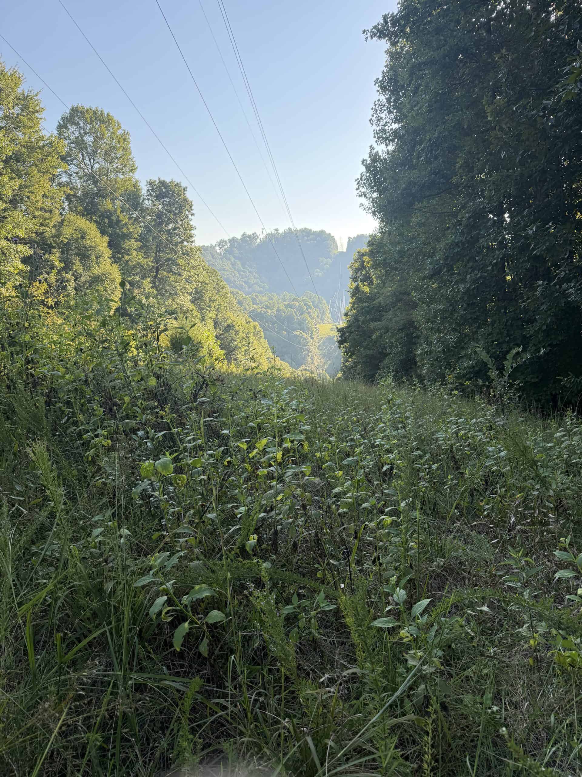 Secluded Recreational Property for Sale in Fort Blackmore VA