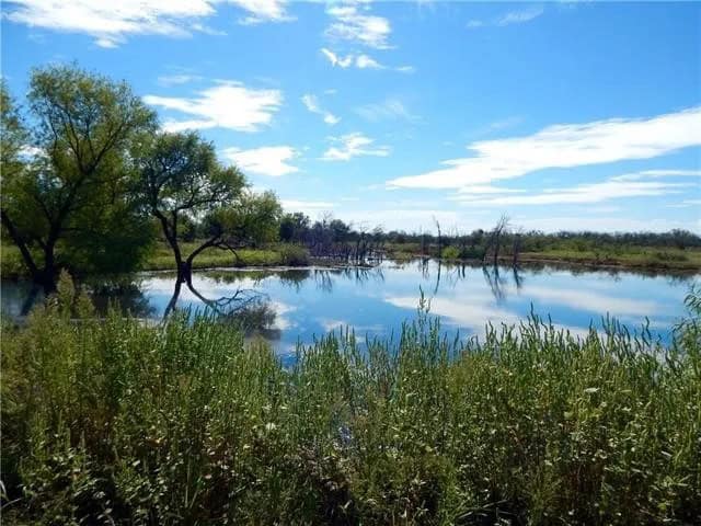 26 ac with Log Home in Jack County TX