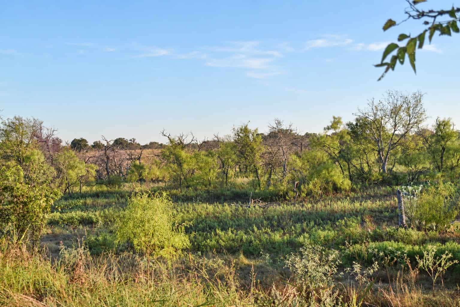 26 ac with Log Home in Jack County TX