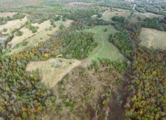 HUNTING LAND FOR SALE IN NORTH CENTRAL ARKANSAS OZARKS