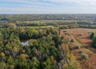 84± Acres | Premier Hunting & Recreational Farm | Wapello County, Iowa