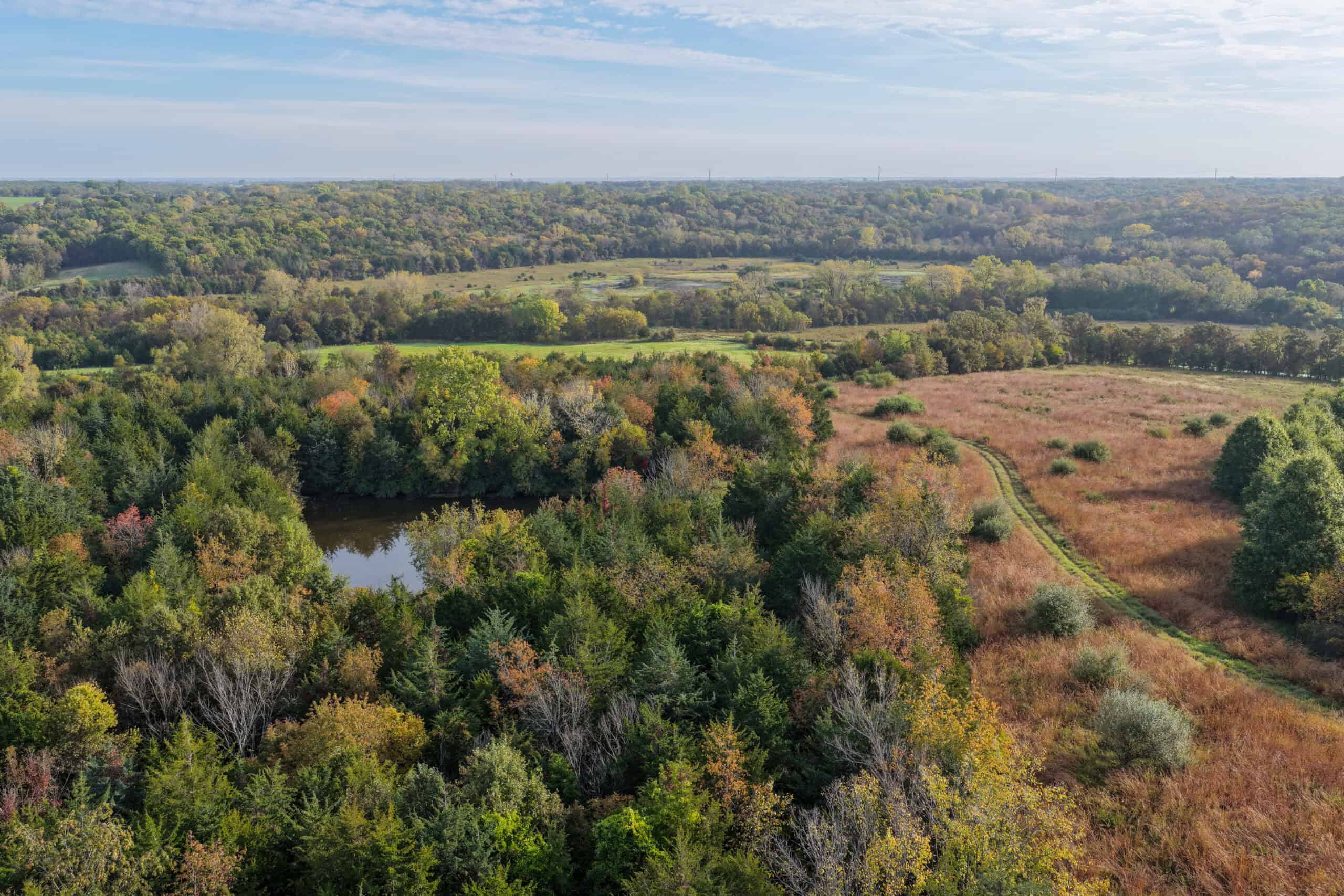 84± Acres | Premier Hunting & Recreational Farm | Wapello County, Iowa