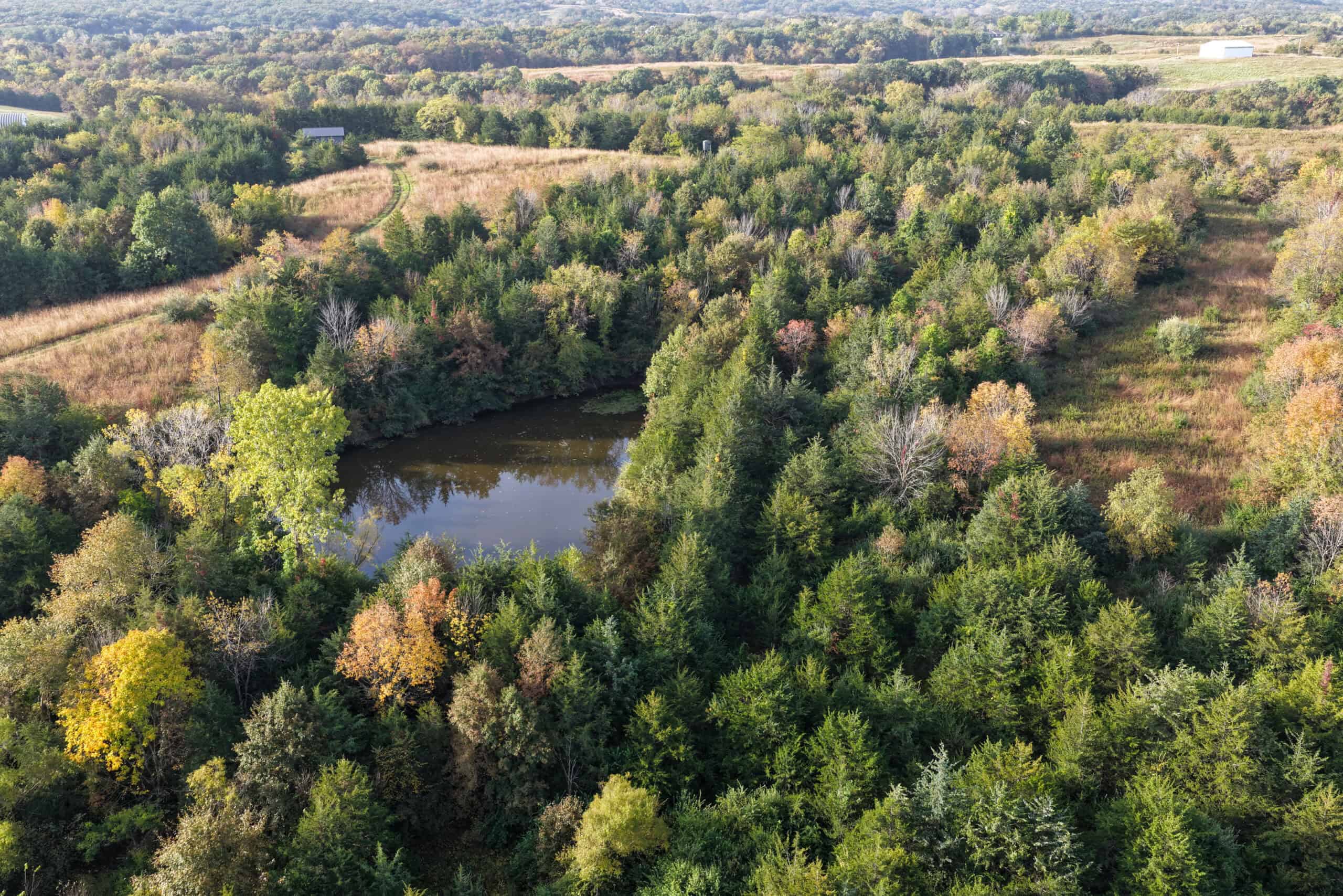 84± Acres | Premier Hunting & Recreational Farm | Wapello County, Iowa