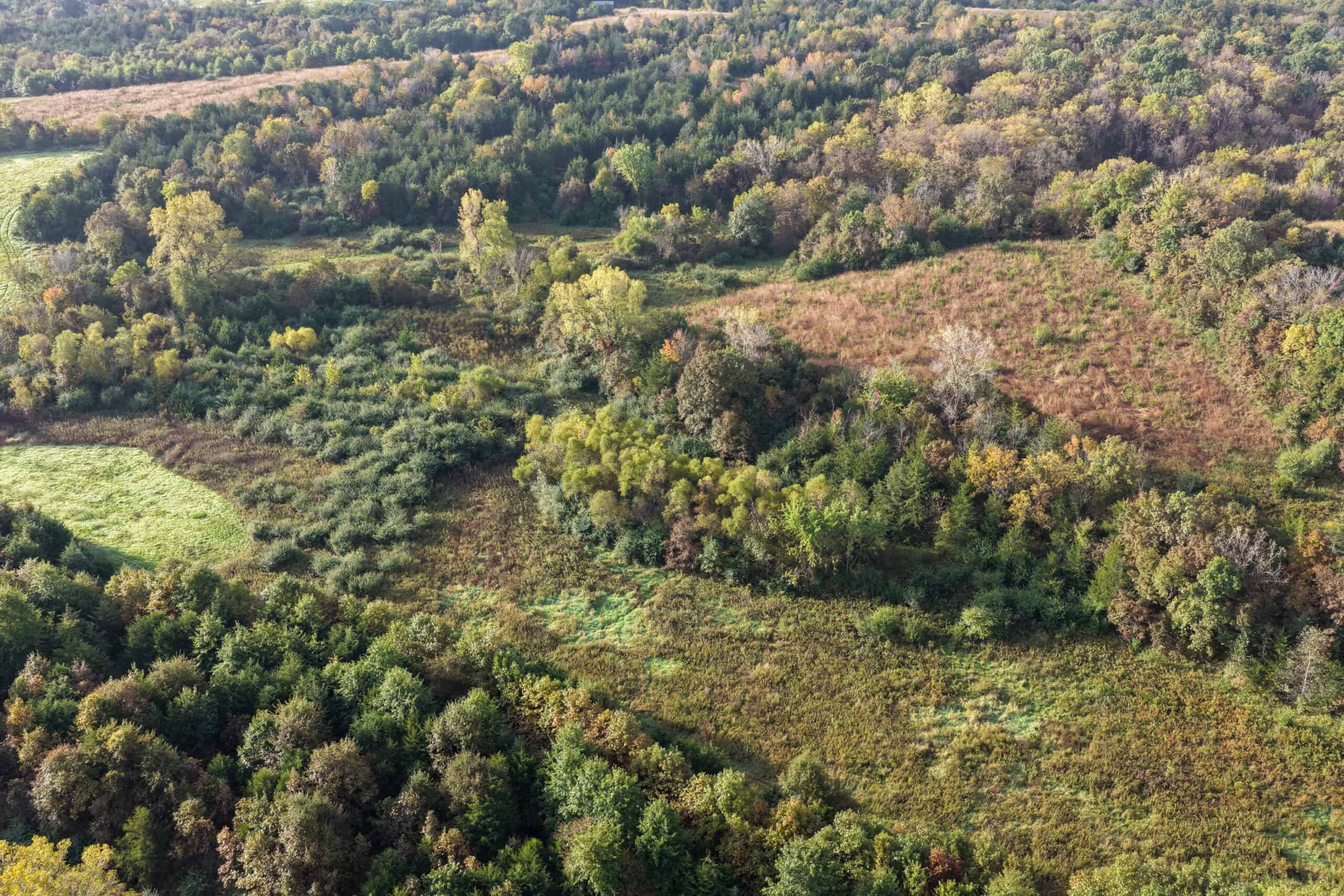 84± Acres | Premier Hunting & Recreational Farm | Wapello County, Iowa