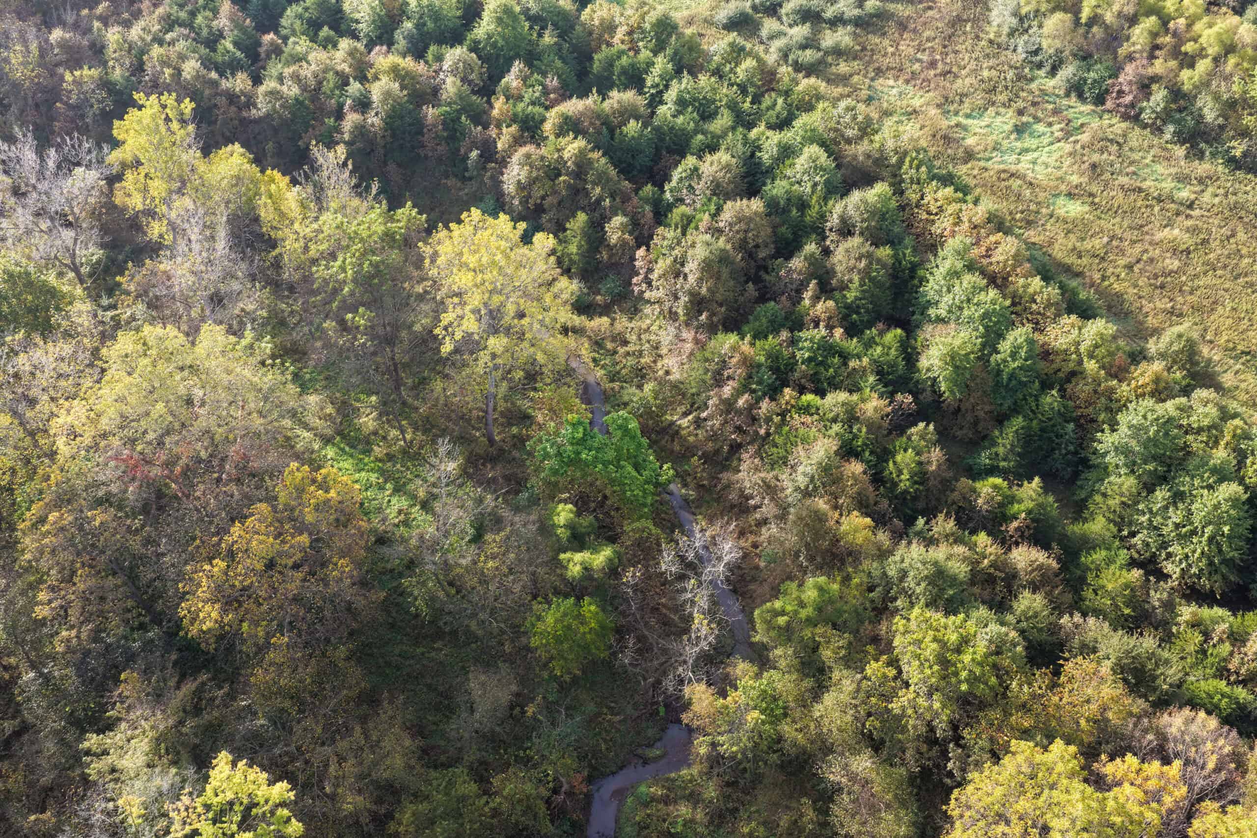 84± Acres | Premier Hunting & Recreational Farm | Wapello County, Iowa