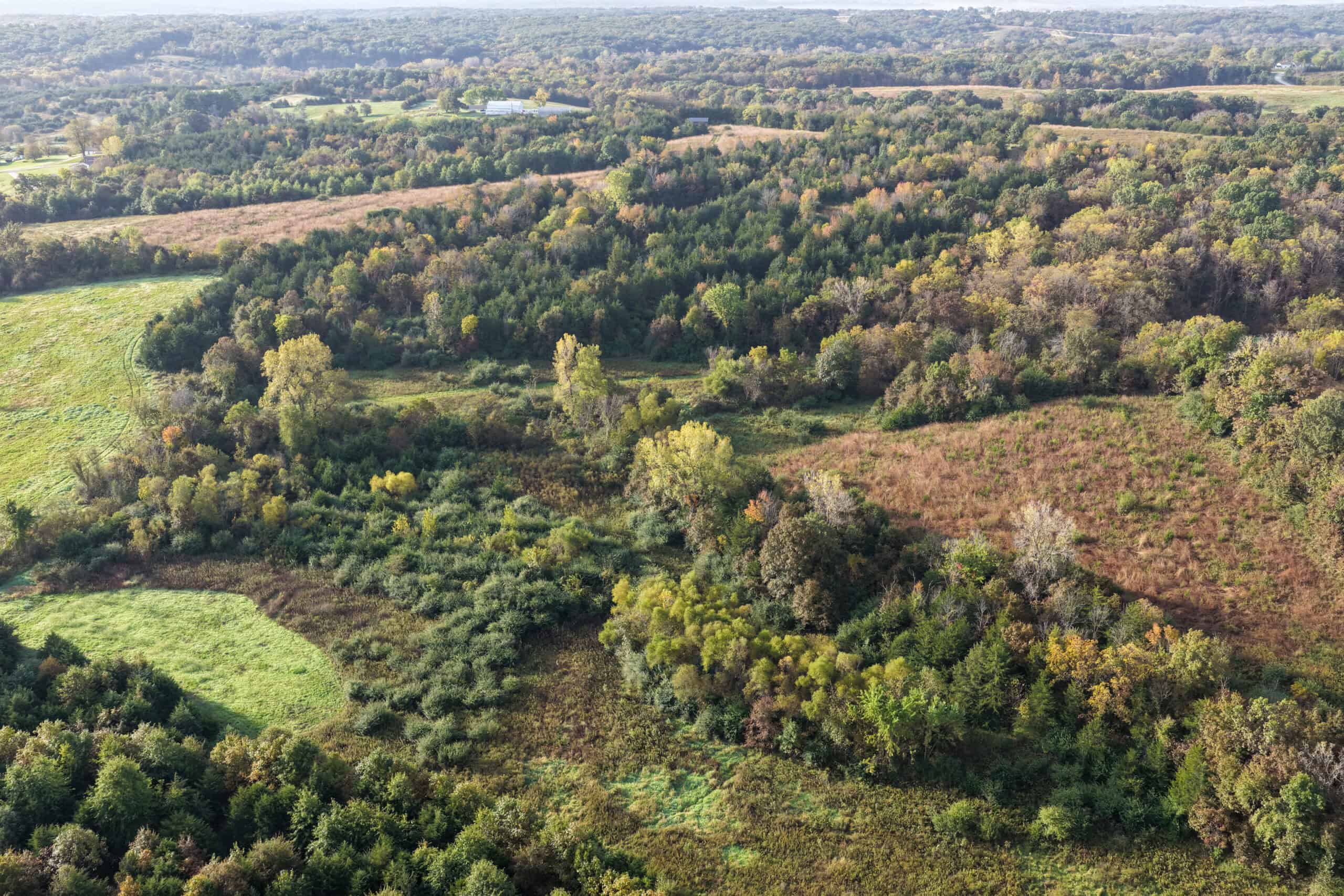 84± Acres | Premier Hunting & Recreational Farm | Wapello County, Iowa