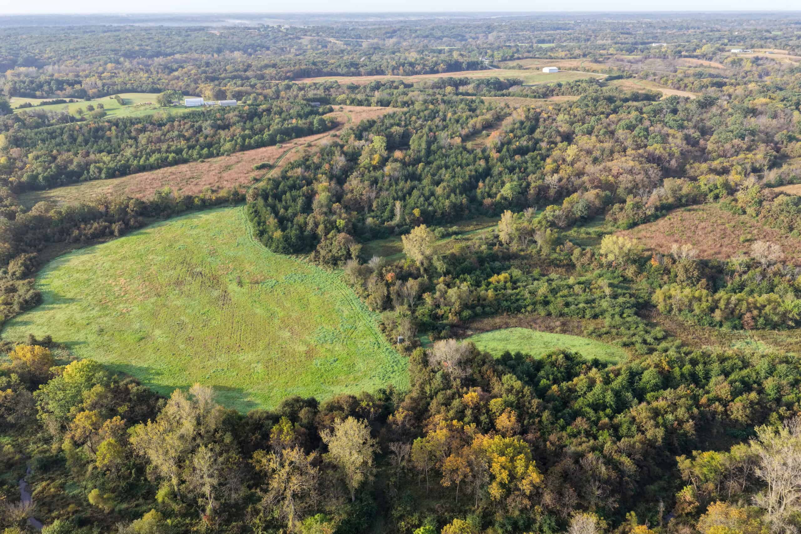 84± Acres | Premier Hunting & Recreational Farm | Wapello County, Iowa