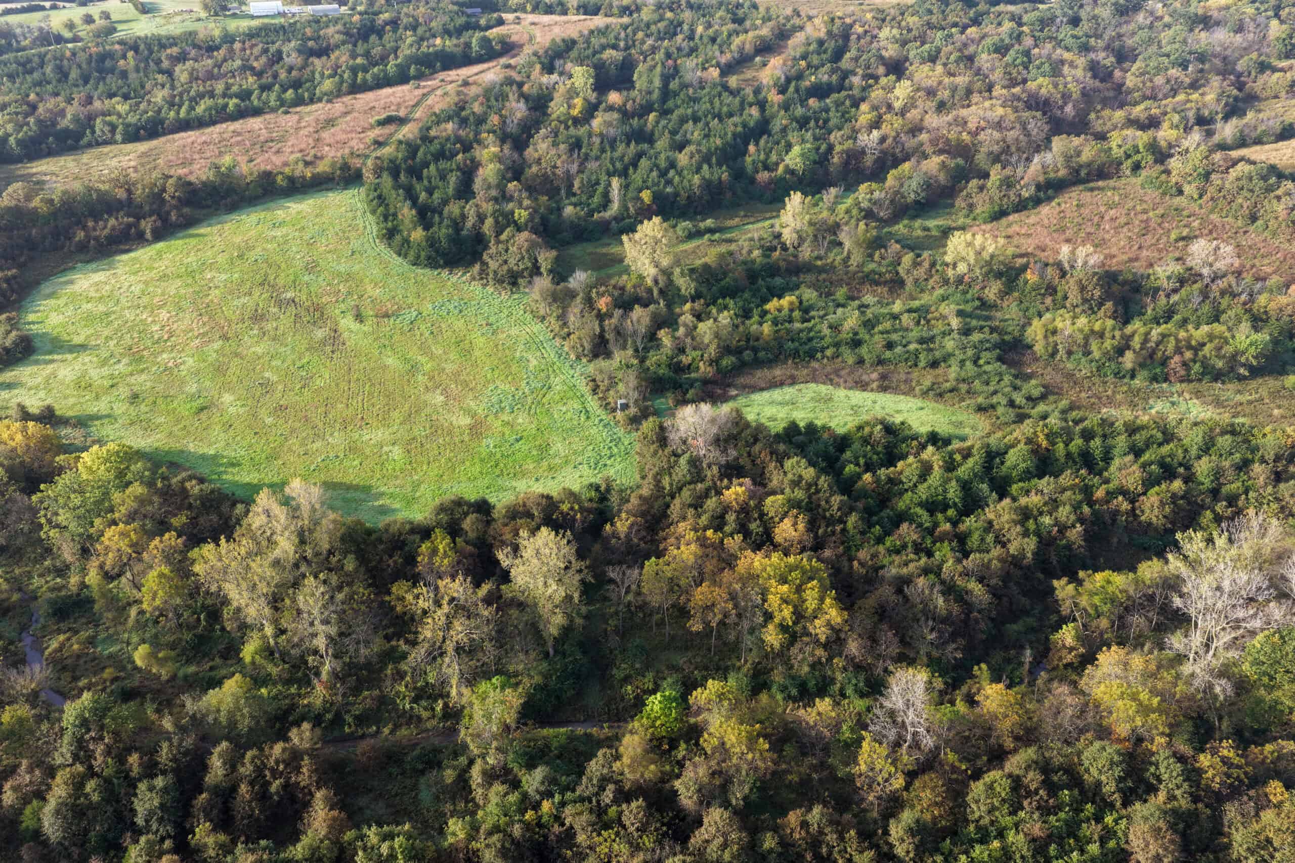 84± Acres | Premier Hunting & Recreational Farm | Wapello County, Iowa