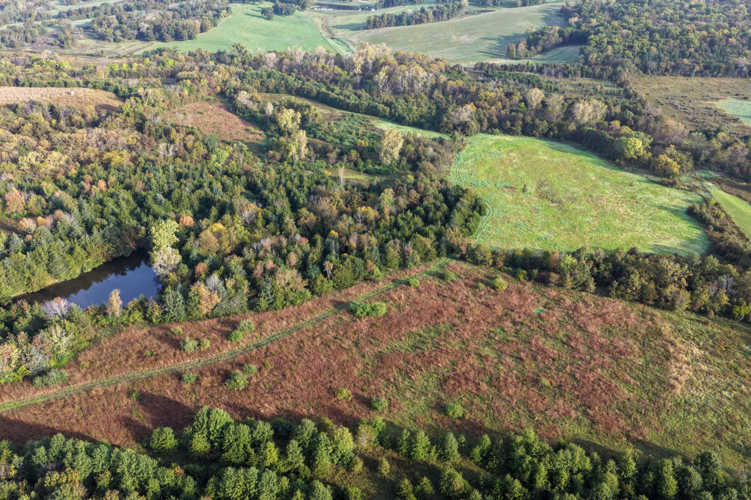 84± Acres | Premier Hunting & Recreational Farm | Wapello County, Iowa