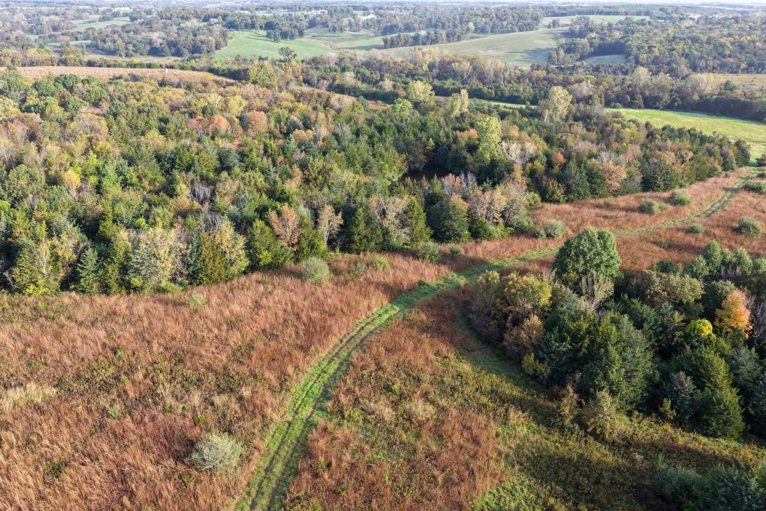 84± Acres | Premier Hunting & Recreational Farm | Wapello County, Iowa