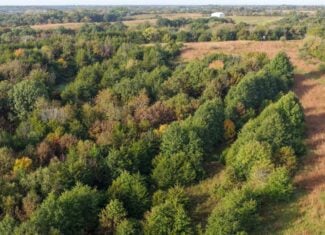 84± Acres | Premier Hunting & Recreational Farm | Wapello County, Iowa