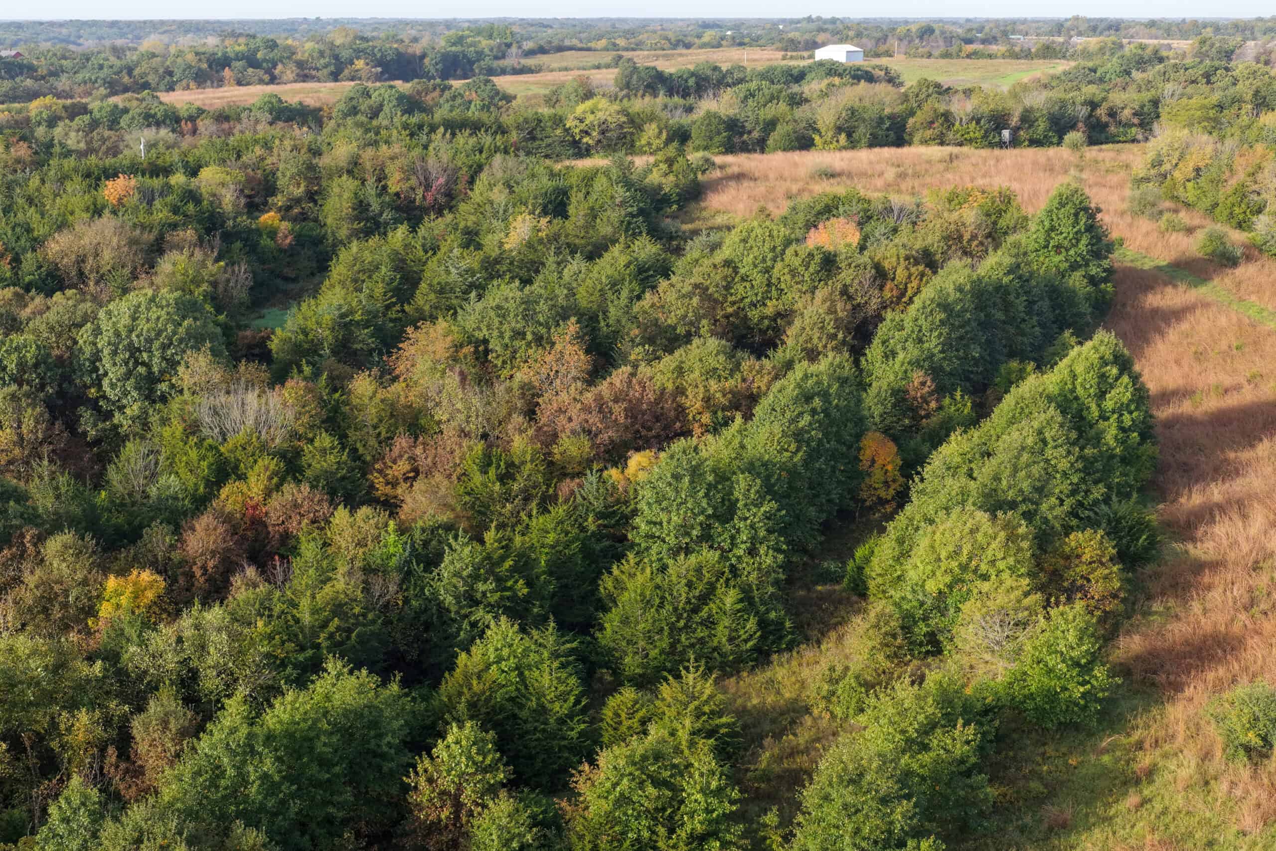 84± Acres | Premier Hunting & Recreational Farm | Wapello County, Iowa