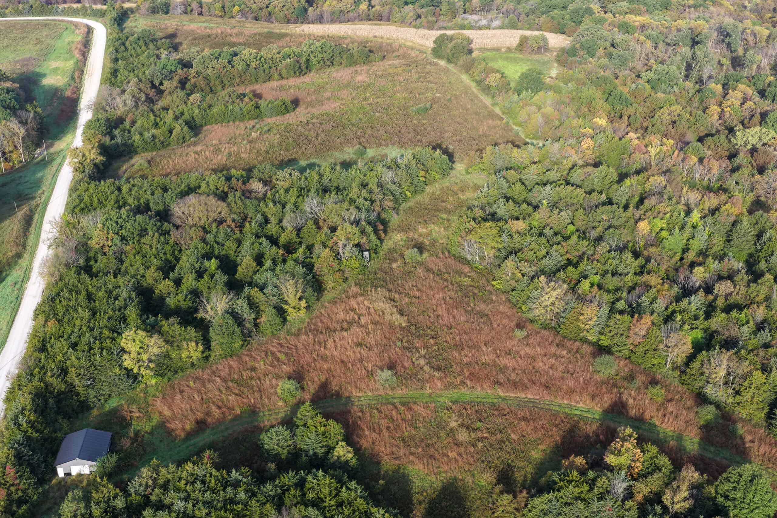 84± Acres | Premier Hunting & Recreational Farm | Wapello County, Iowa