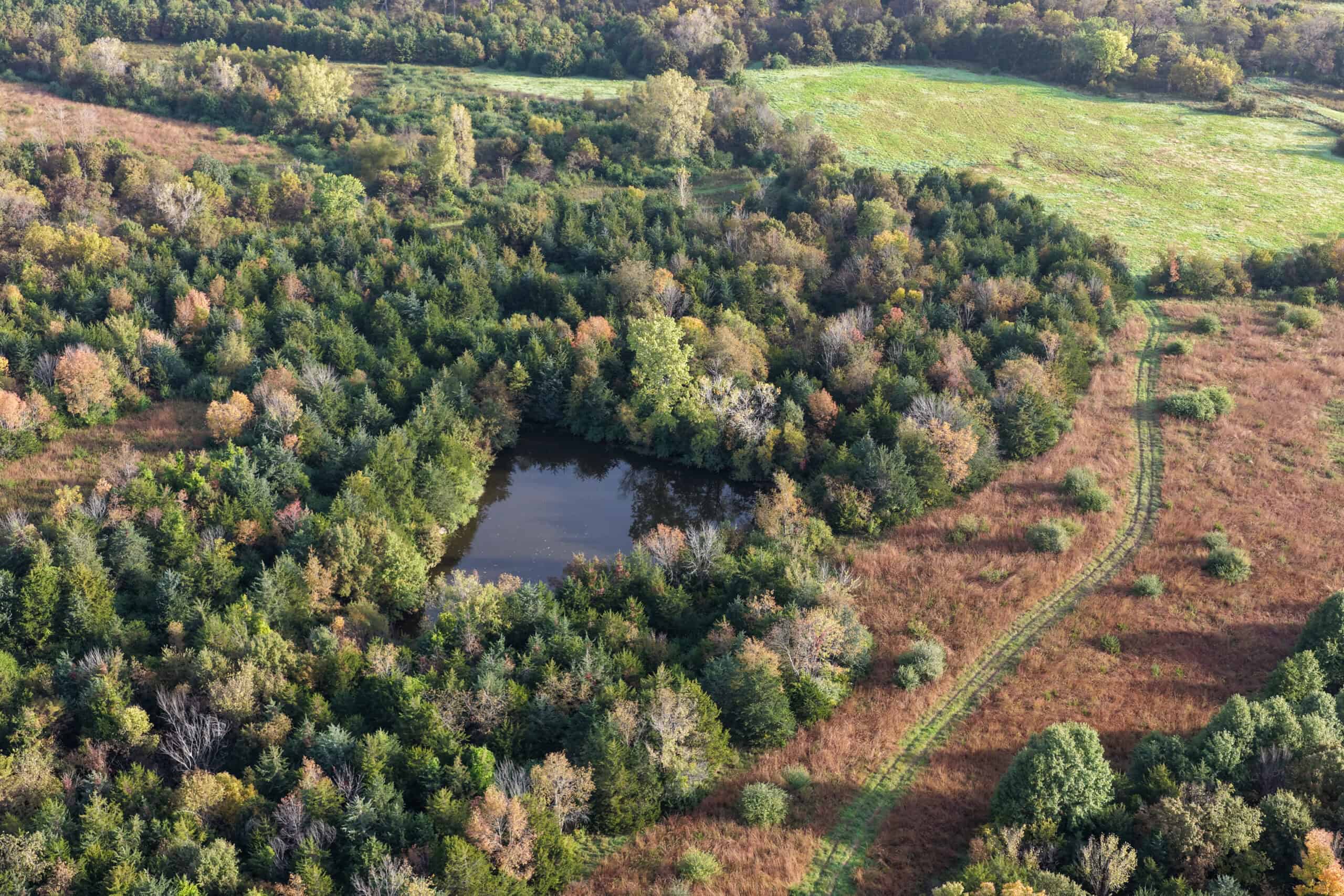 84± Acres | Premier Hunting & Recreational Farm | Wapello County, Iowa