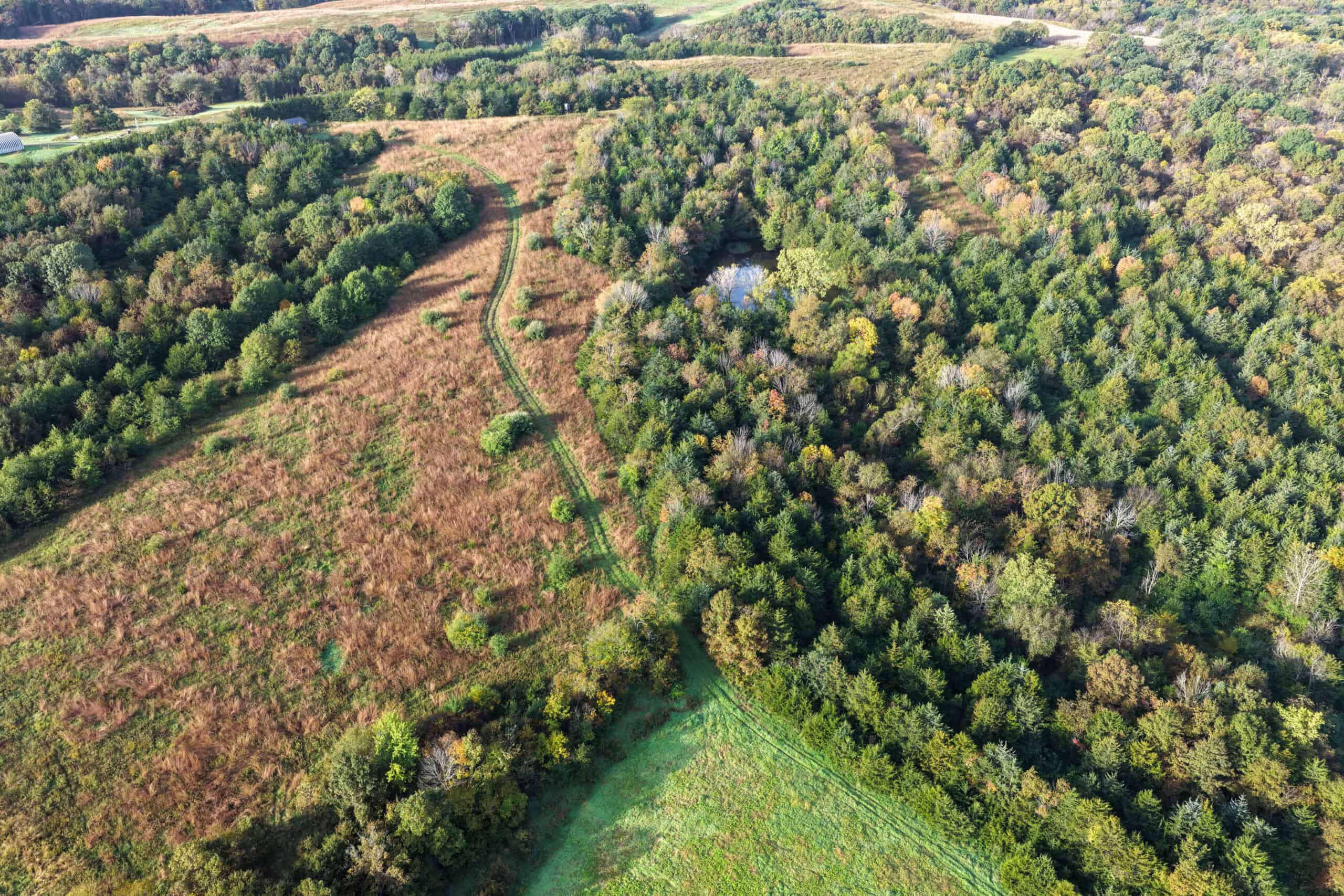 84± Acres | Premier Hunting & Recreational Farm | Wapello County, Iowa