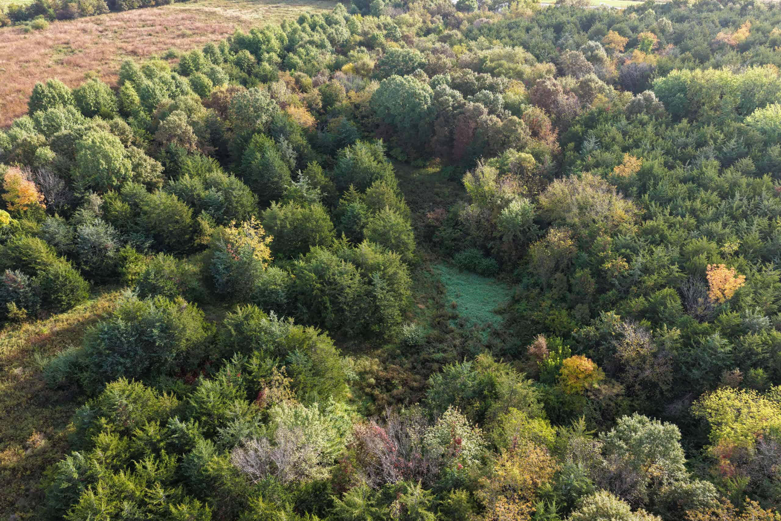 84± Acres | Premier Hunting & Recreational Farm | Wapello County, Iowa