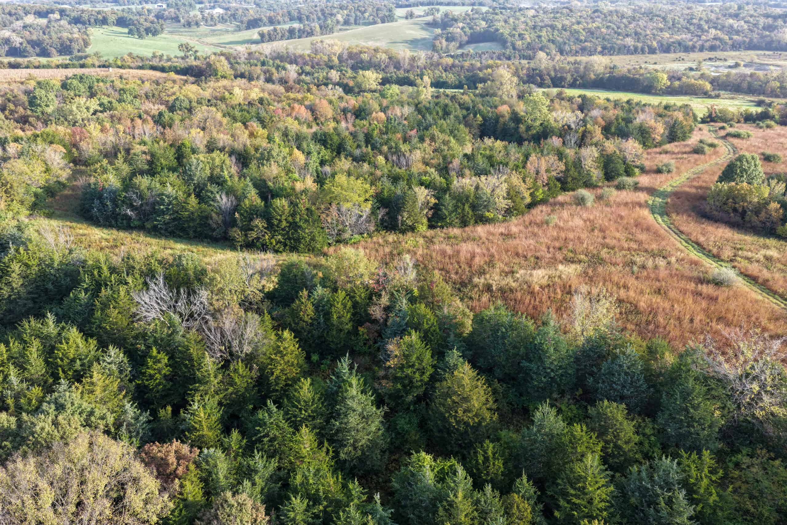 84± Acres | Premier Hunting & Recreational Farm | Wapello County, Iowa