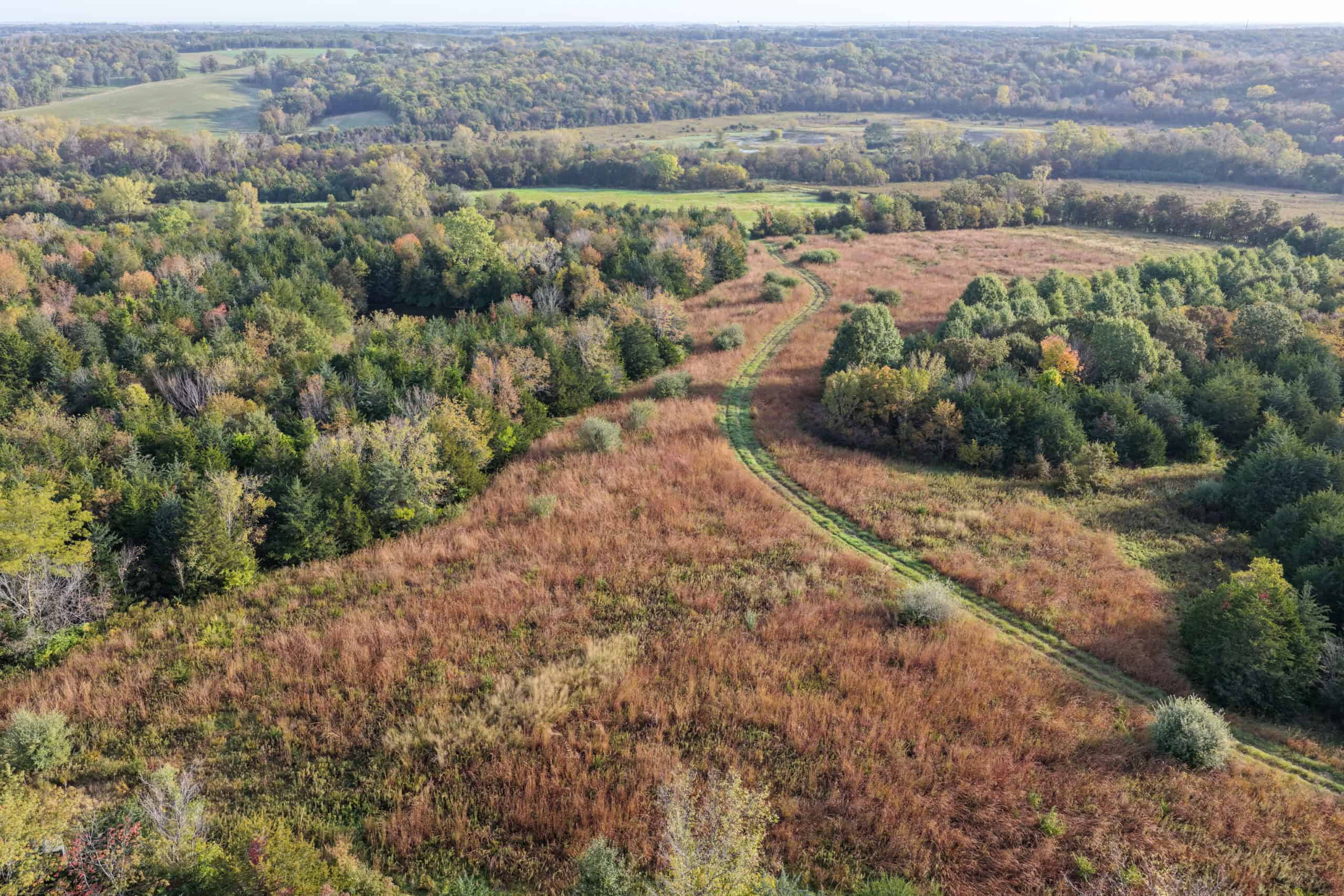 84± Acres | Premier Hunting & Recreational Farm | Wapello County, Iowa