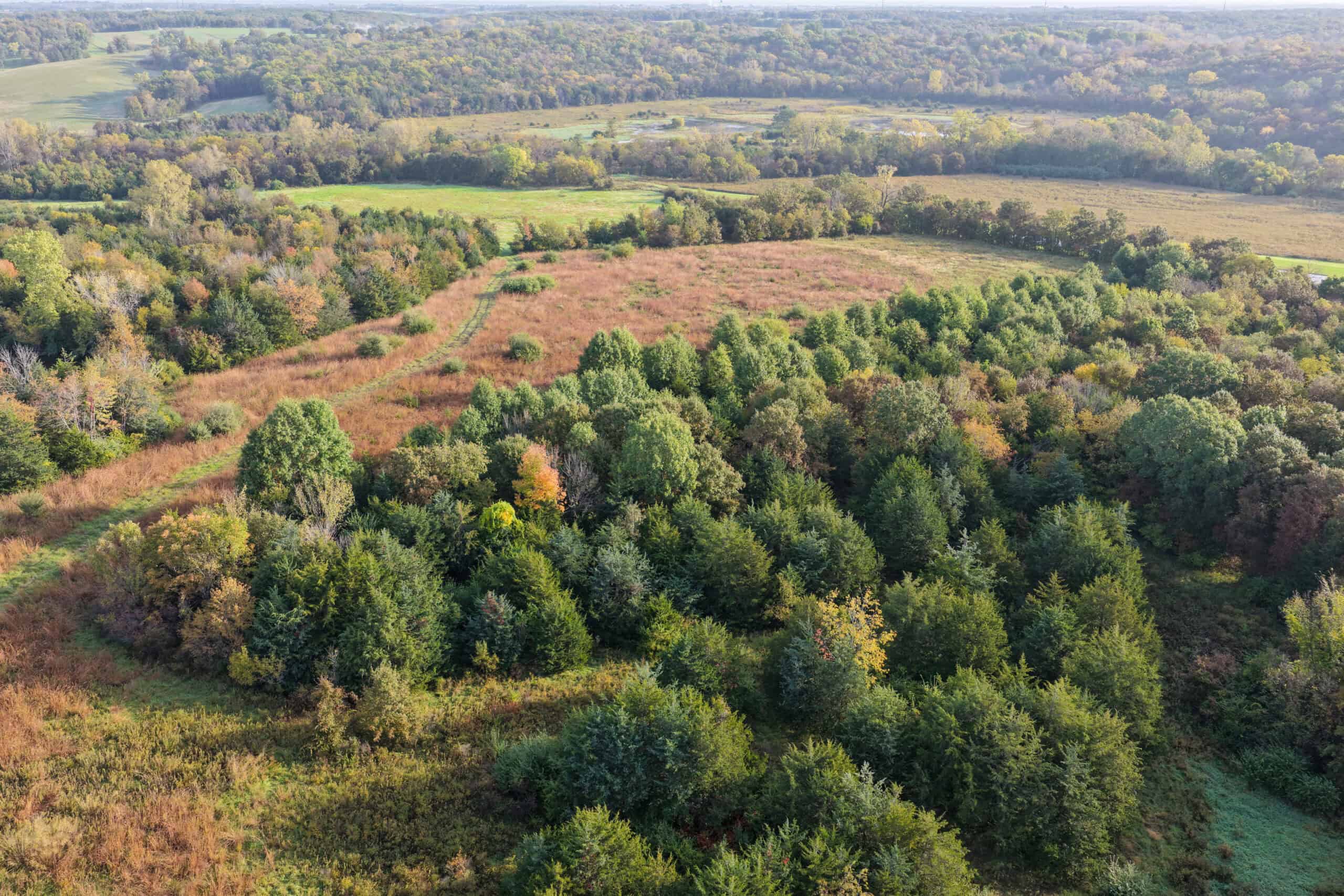 84± Acres | Premier Hunting & Recreational Farm | Wapello County, Iowa