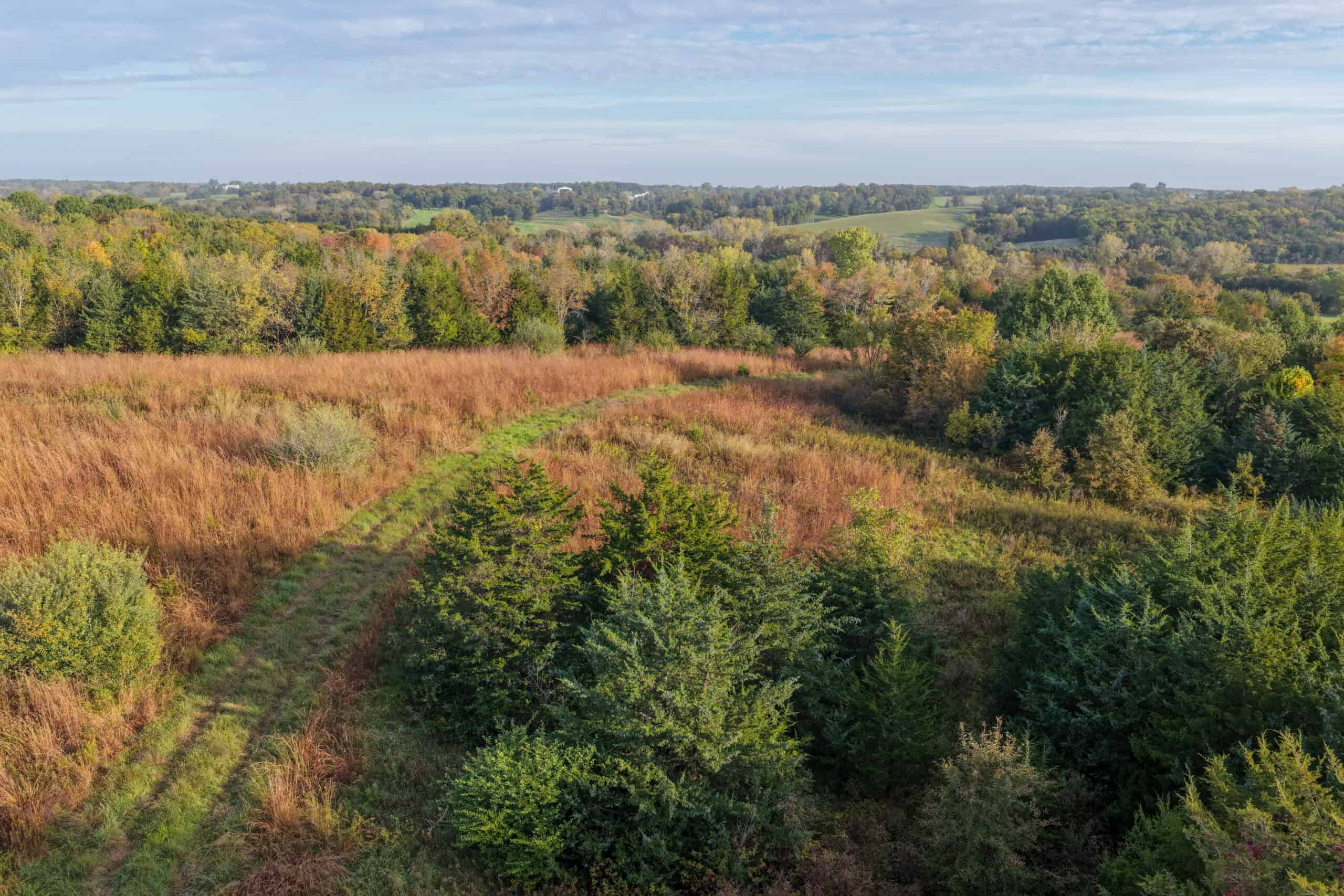 84± Acres | Premier Hunting & Recreational Farm | Wapello County, Iowa