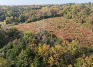 84± Acres | Premier Hunting & Recreational Farm | Wapello County, Iowa