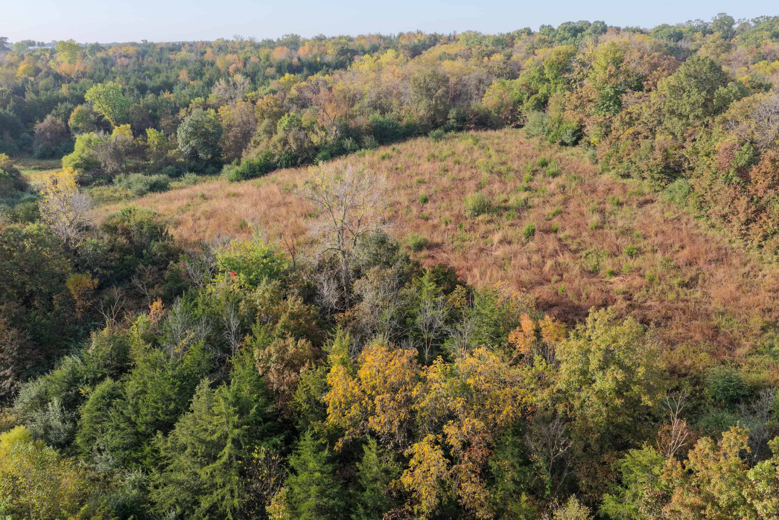 84± Acres | Premier Hunting & Recreational Farm | Wapello County, Iowa