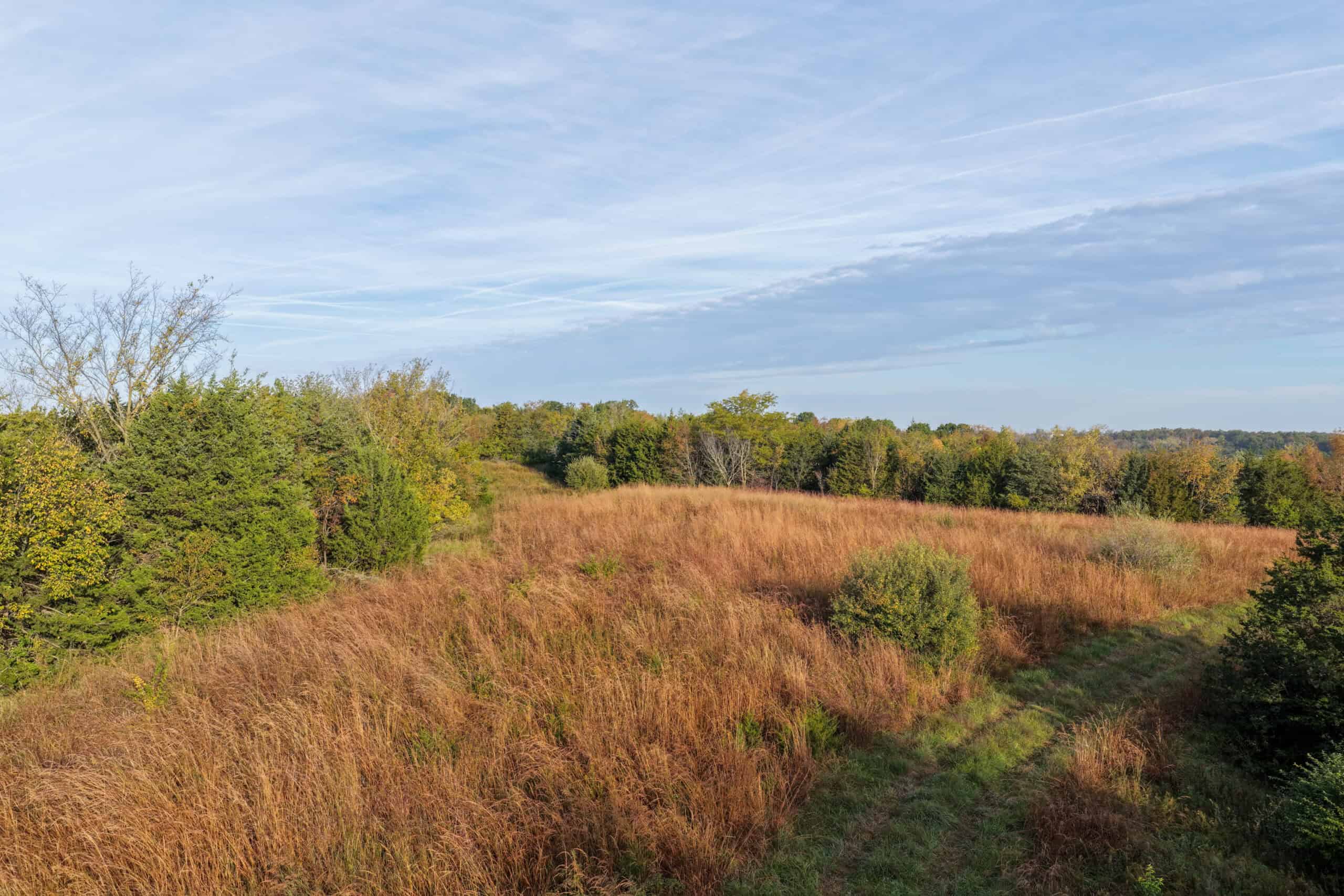 84± Acres | Premier Hunting & Recreational Farm | Wapello County, Iowa