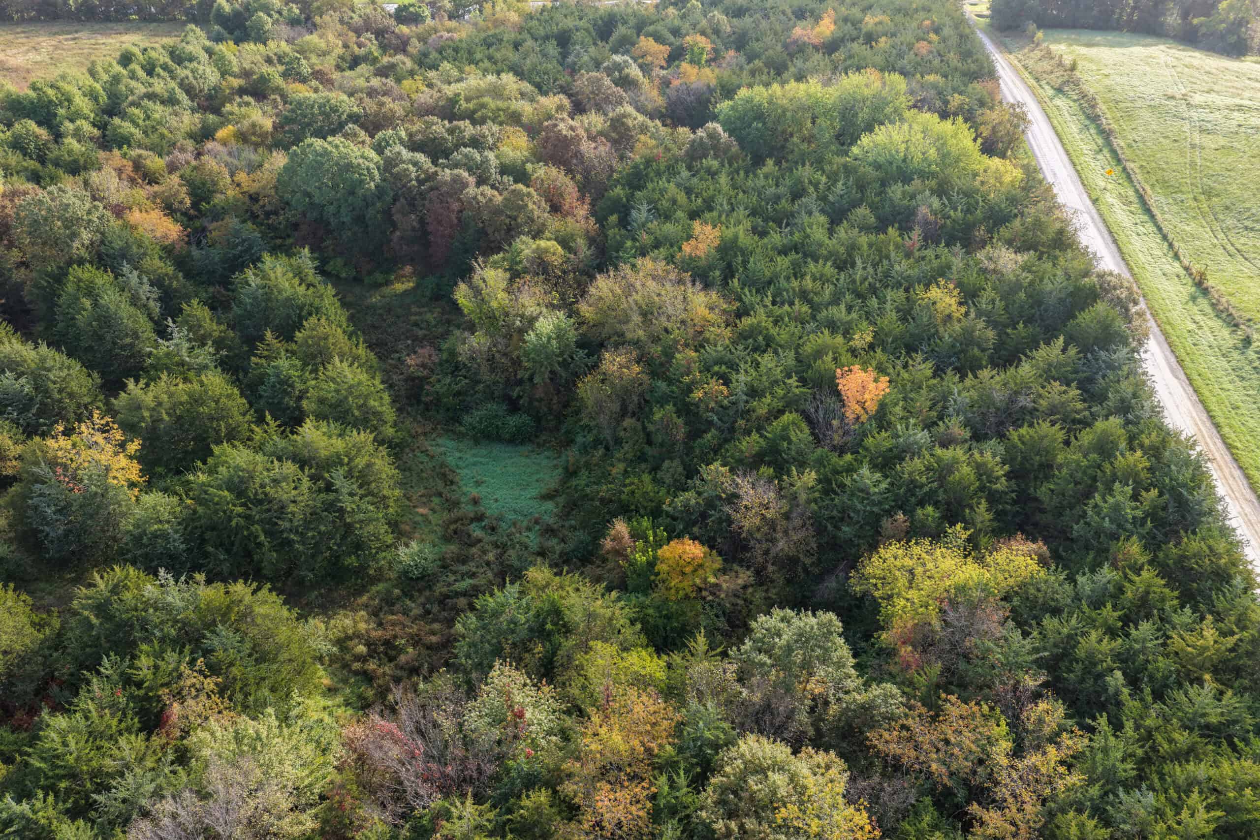 84± Acres | Premier Hunting & Recreational Farm | Wapello County, Iowa