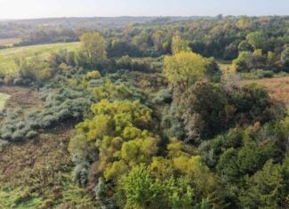 84± Acres | Premier Hunting & Recreational Farm | Wapello County, Iowa