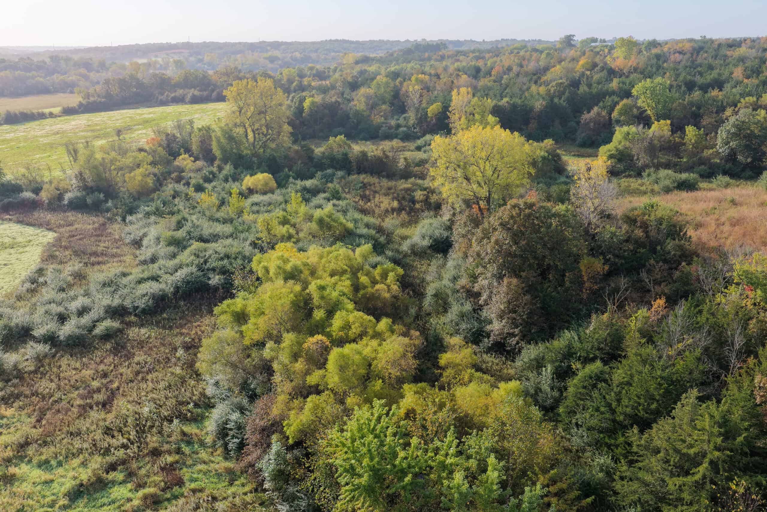 84± Acres | Premier Hunting & Recreational Farm | Wapello County, Iowa