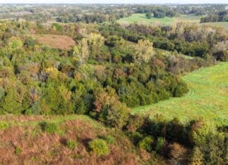 84± Acres | Premier Hunting & Recreational Farm | Wapello County, Iowa
