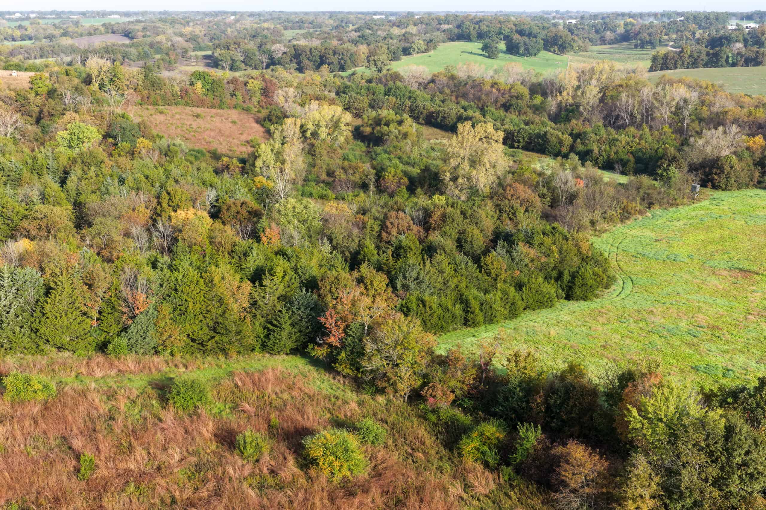 84± Acres | Premier Hunting & Recreational Farm | Wapello County, Iowa