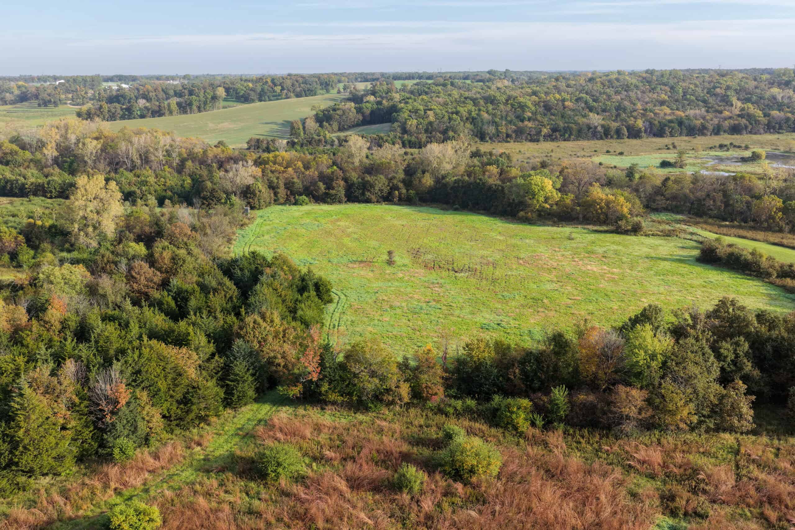 84± Acres | Premier Hunting & Recreational Farm | Wapello County, Iowa