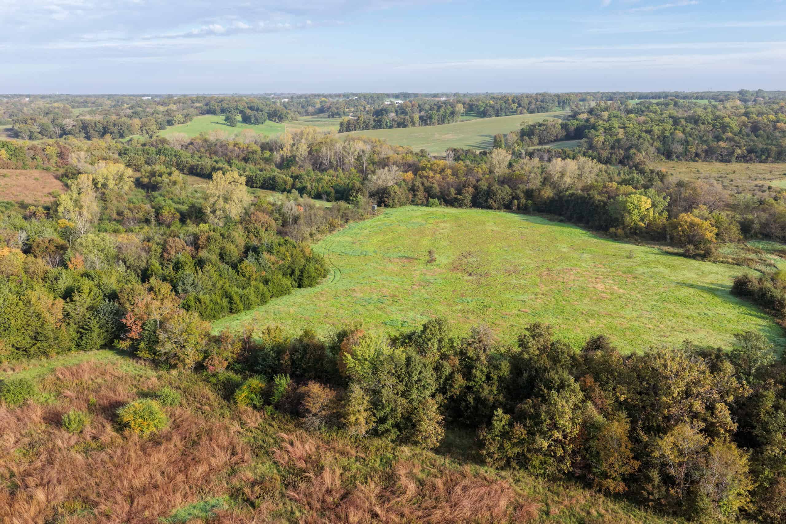 84± Acres | Premier Hunting & Recreational Farm | Wapello County, Iowa