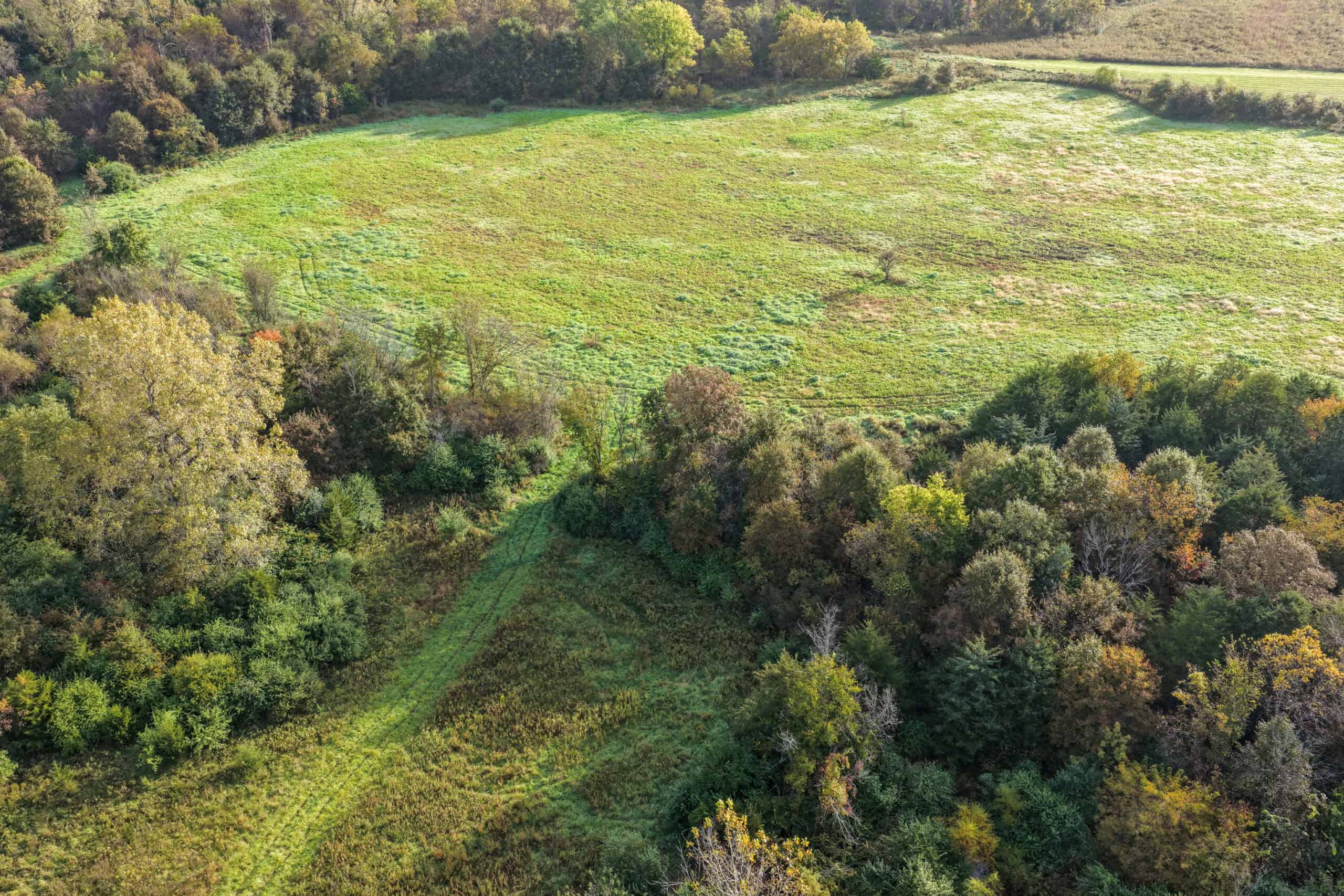 84± Acres | Premier Hunting & Recreational Farm | Wapello County, Iowa