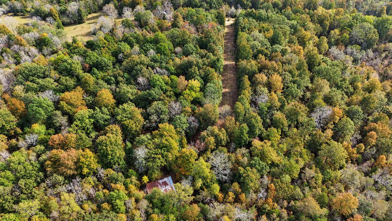ACREAGE FOR SALE IN NORTH CENTRAL ARKANSAS