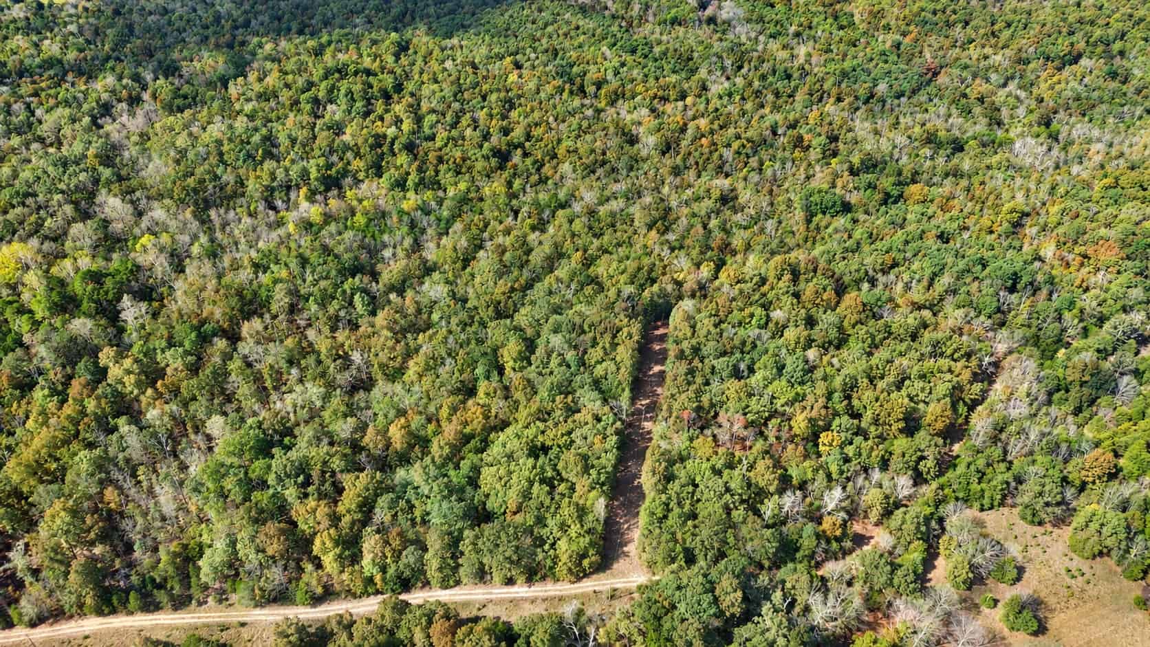 ACREAGE FOR SALE IN NORTH CENTRAL ARKANSAS