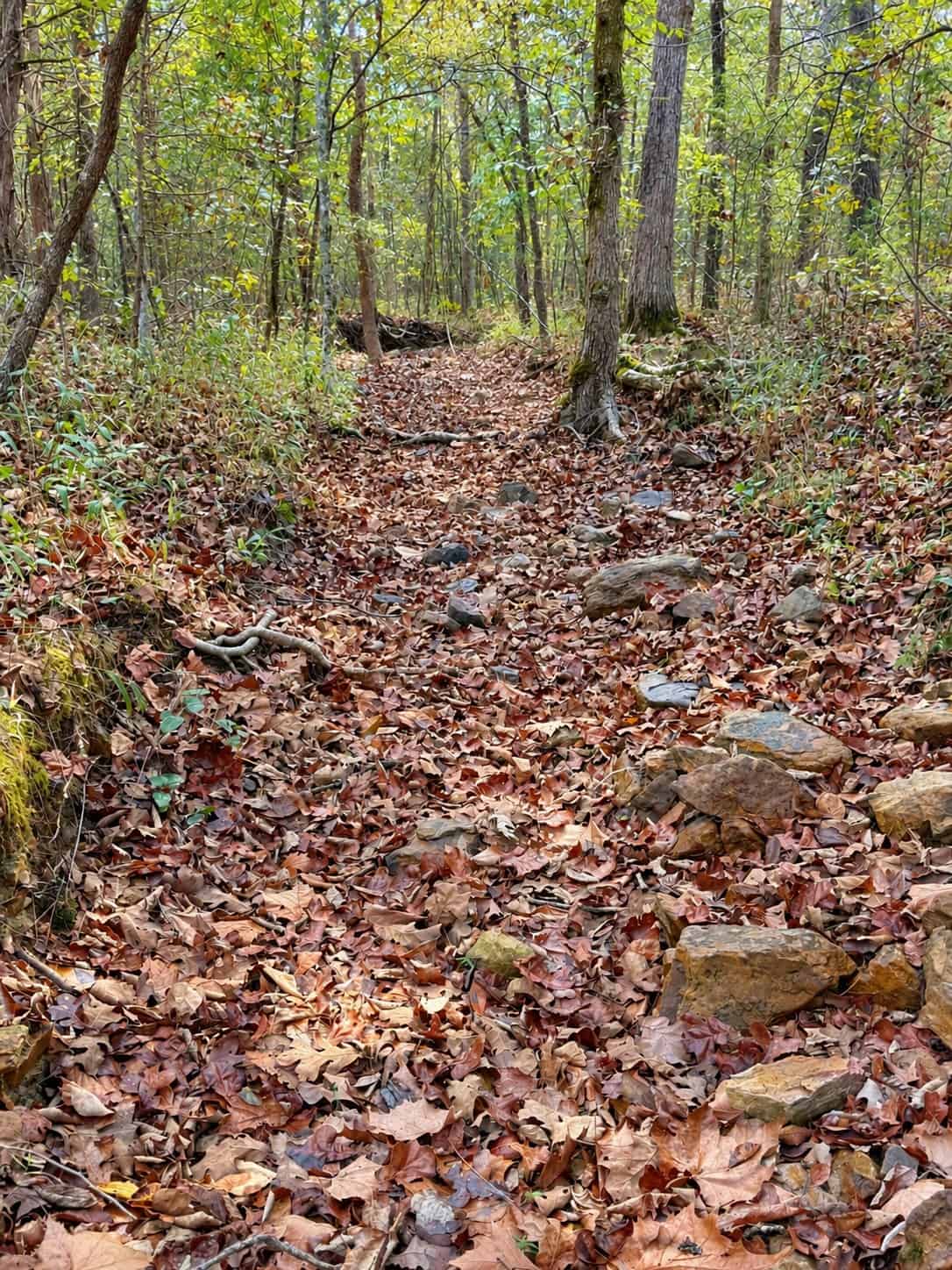 ACREAGE FOR SALE IN NORTH CENTRAL ARKANSAS